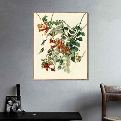 INVIN ART Framed Canvas Giclee Print Ruby throated Humming Bird by John James Audubon Wall Art Living Room Home Office Decorations