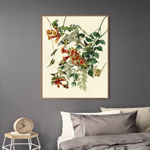 INVIN ART Framed Canvas Giclee Print Ruby throated Humming Bird by John James Audubon Wall Art Living Room Home Office Decorations