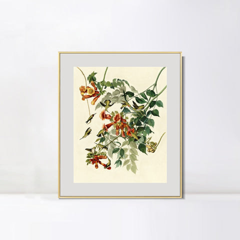 INVIN ART Metal Framed Canvas Giclee Print Ruby throated Humming Bird by John James Audubon Wall Art Living Room Home Office Decorations