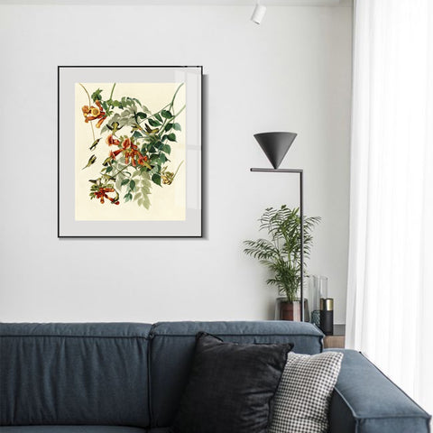 INVIN ART Metal Framed Canvas Giclee Print Ruby throated Humming Bird by John James Audubon Wall Art Living Room Home Office Decorations