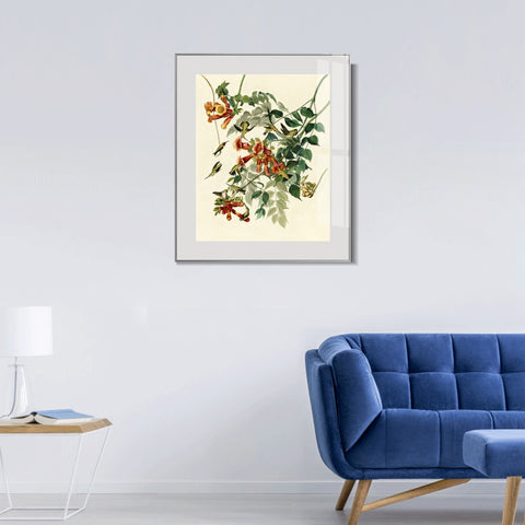 INVIN ART Metal Framed Canvas Giclee Print Ruby throated Humming Bird by John James Audubon Wall Art Living Room Home Office Decorations