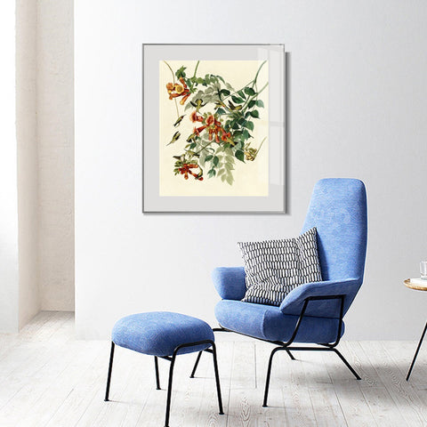 INVIN ART Metal Framed Canvas Giclee Print Ruby throated Humming Bird by John James Audubon Wall Art Living Room Home Office Decorations