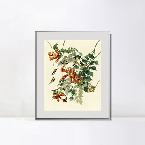 INVIN ART Metal Framed Canvas Giclee Print Ruby throated Humming Bird by John James Audubon Wall Art Living Room Home Office Decorations