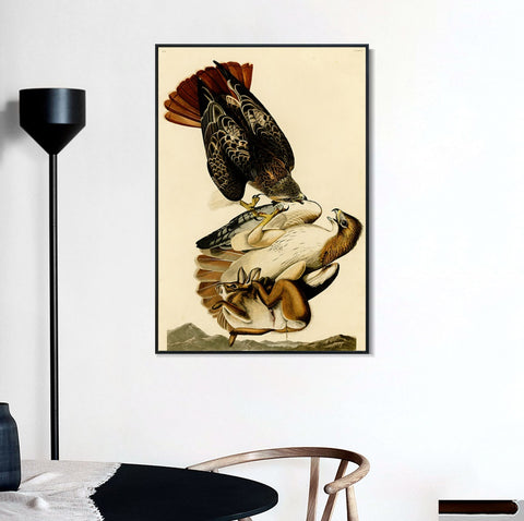 INVIN ART Framed Canvas Giclee Print Red tailed Hawk by John James Audubon Wall Art Living Room Home Office Decorations