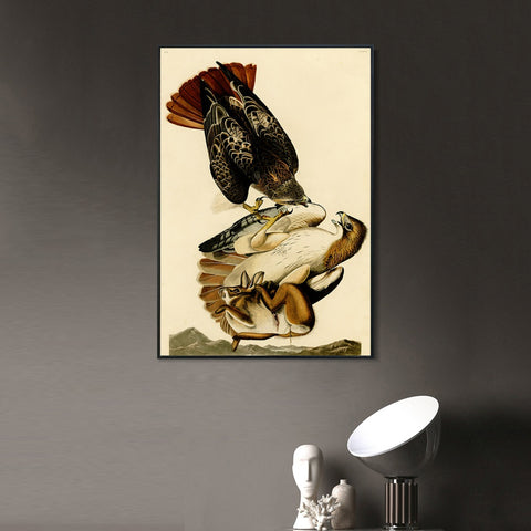INVIN ART Framed Canvas Giclee Print Red tailed Hawk by John James Audubon Wall Art Living Room Home Office Decorations