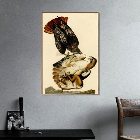 INVIN ART Framed Canvas Giclee Print Red tailed Hawk by John James Audubon Wall Art Living Room Home Office Decorations
