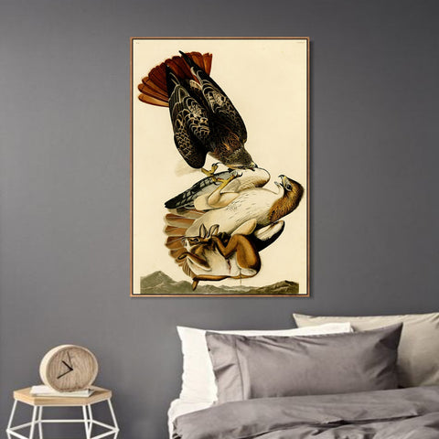 INVIN ART Framed Canvas Giclee Print Red tailed Hawk by John James Audubon Wall Art Living Room Home Office Decorations