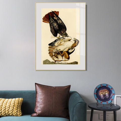 INVIN ART Metal Framed Canvas Giclee Print Red tailed Hawk by John James Audubon Wall Art Living Room Home Office Decorations