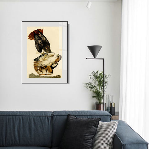 INVIN ART Metal Framed Canvas Giclee Print Red tailed Hawk by John James Audubon Wall Art Living Room Home Office Decorations