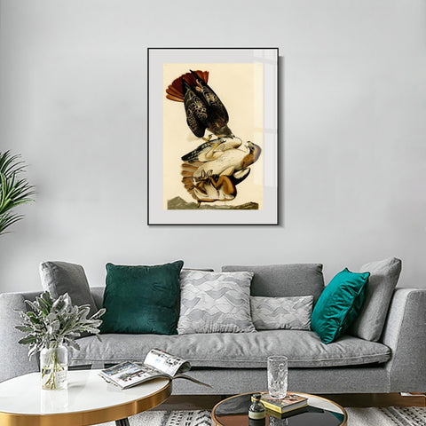 INVIN ART Metal Framed Canvas Giclee Print Red tailed Hawk by John James Audubon Wall Art Living Room Home Office Decorations