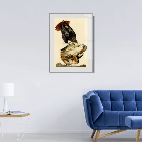 INVIN ART Metal Framed Canvas Giclee Print Red tailed Hawk by John James Audubon Wall Art Living Room Home Office Decorations