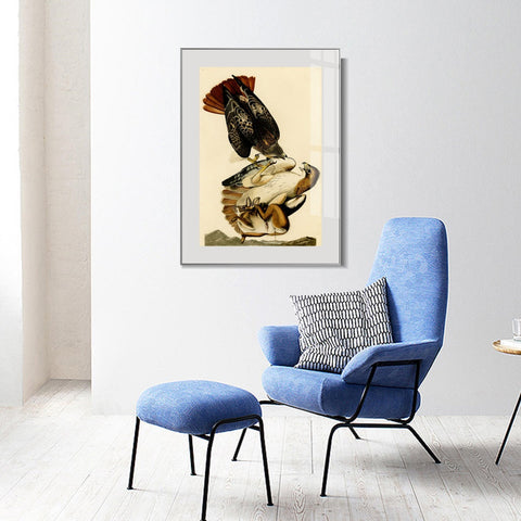 INVIN ART Metal Framed Canvas Giclee Print Red tailed Hawk by John James Audubon Wall Art Living Room Home Office Decorations
