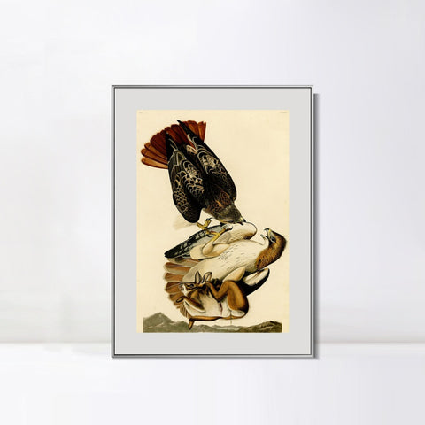 INVIN ART Metal Framed Canvas Giclee Print Red tailed Hawk by John James Audubon Wall Art Living Room Home Office Decorations