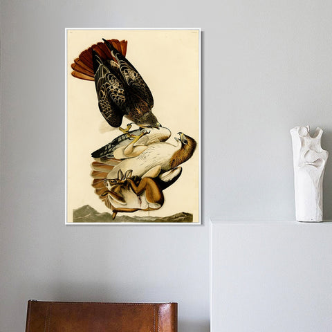 INVIN ART Framed Canvas Giclee Print Red tailed Hawk by John James Audubon Wall Art Living Room Home Office Decorations