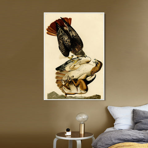 INVIN ART Framed Canvas Giclee Print Red tailed Hawk by John James Audubon Wall Art Living Room Home Office Decorations