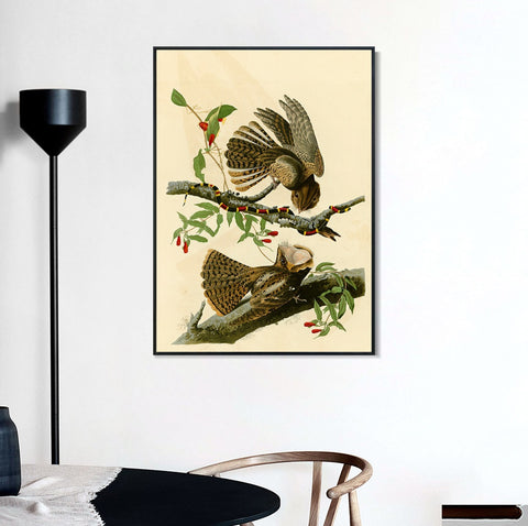 INVIN ART Framed Canvas Giclee Print Chuck will's Widow by John James Audubon Wall Art Living Room Home Office Decorations