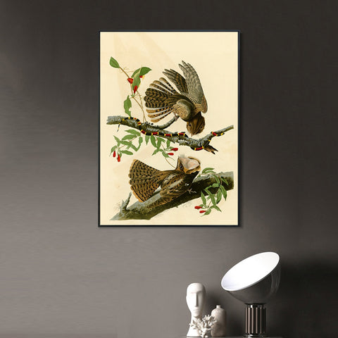 INVIN ART Framed Canvas Giclee Print Chuck will's Widow by John James Audubon Wall Art Living Room Home Office Decorations