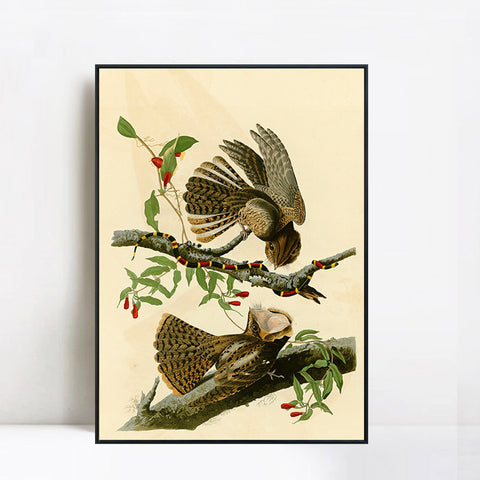 INVIN ART Framed Canvas Giclee Print Chuck will's Widow by John James Audubon Wall Art Living Room Home Office Decorations