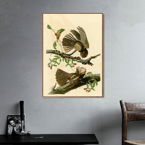 INVIN ART Framed Canvas Giclee Print Chuck will's Widow by John James Audubon Wall Art Living Room Home Office Decorations