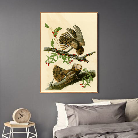 INVIN ART Framed Canvas Giclee Print Chuck will's Widow by John James Audubon Wall Art Living Room Home Office Decorations