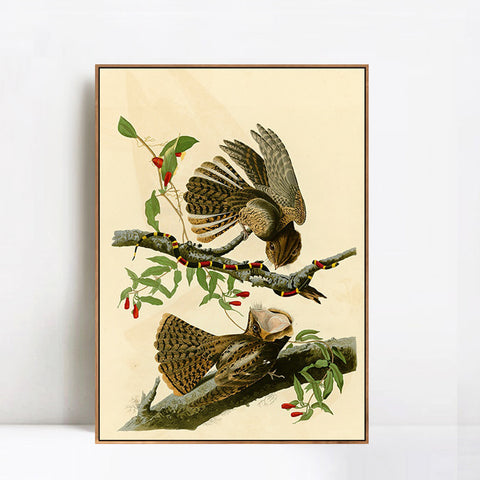 INVIN ART Framed Canvas Giclee Print Chuck will's Widow by John James Audubon Wall Art Living Room Home Office Decorations