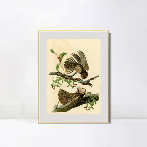 INVIN ART Metal Framed Canvas Giclee Print Chuck will's Widow by John James Audubon Wall Art Living Room Home Office Decorations
