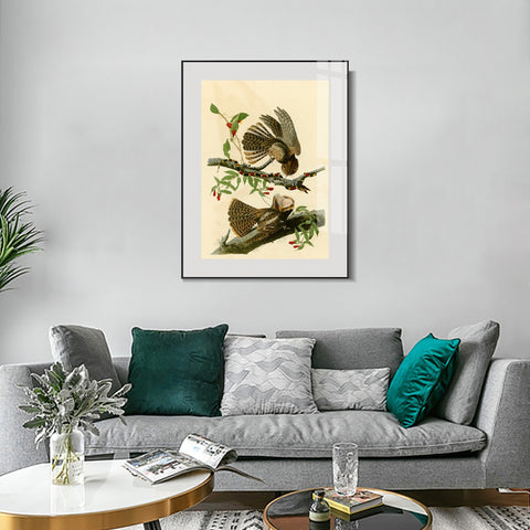 INVIN ART Metal Framed Canvas Giclee Print Chuck will's Widow by John James Audubon Wall Art Living Room Home Office Decorations