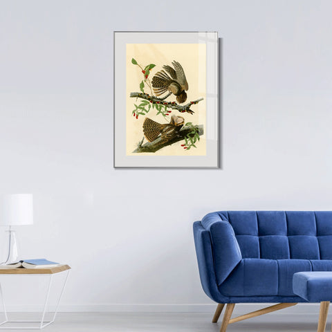 INVIN ART Metal Framed Canvas Giclee Print Chuck will's Widow by John James Audubon Wall Art Living Room Home Office Decorations