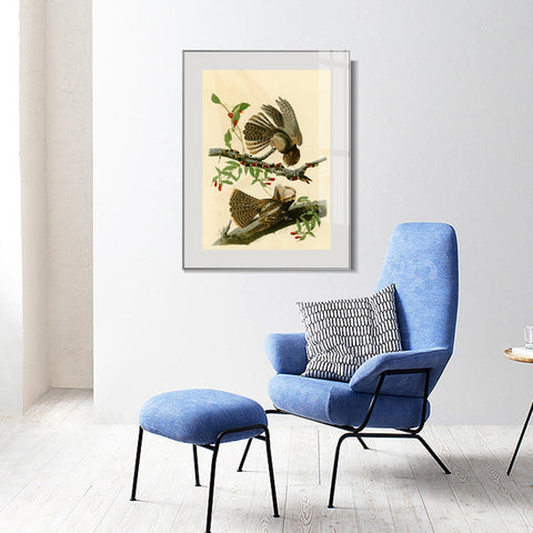 INVIN ART Metal Framed Canvas Giclee Print Chuck will's Widow by John James Audubon Wall Art Living Room Home Office Decorations