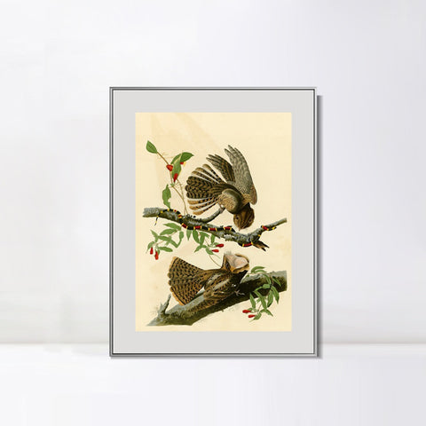 INVIN ART Metal Framed Canvas Giclee Print Chuck will's Widow by John James Audubon Wall Art Living Room Home Office Decorations