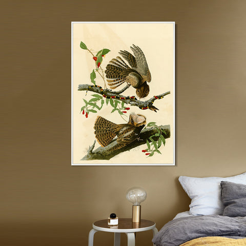 INVIN ART Framed Canvas Giclee Print Chuck will's Widow by John James Audubon Wall Art Living Room Home Office Decorations