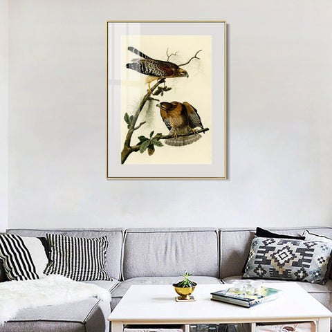 INVIN ART Metal Framed Canvas Giclee Print Red shouldered Hawk by John James Audubon Wall Art Living Room Home Office Decorations