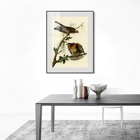 INVIN ART Metal Framed Canvas Giclee Print Red shouldered Hawk by John James Audubon Wall Art Living Room Home Office Decorations