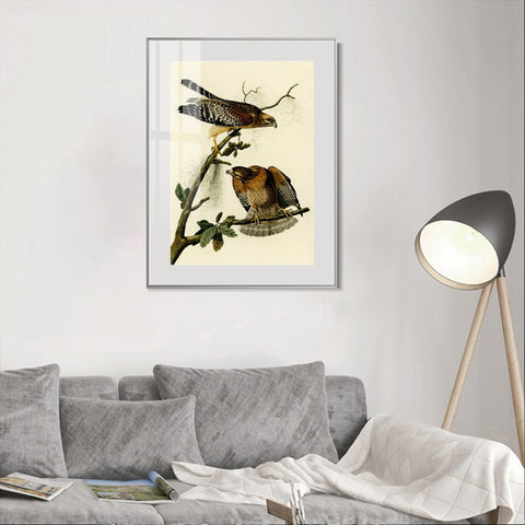 INVIN ART Metal Framed Canvas Giclee Print Red shouldered Hawk by John James Audubon Wall Art Living Room Home Office Decorations