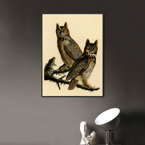 INVIN ART Framed Canvas Giclee Print Great Horned Owl by John James Audubon Wall Art Living Room Home Office Decorations