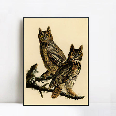 INVIN ART Framed Canvas Giclee Print Great Horned Owl by John James Audubon Wall Art Living Room Home Office Decorations