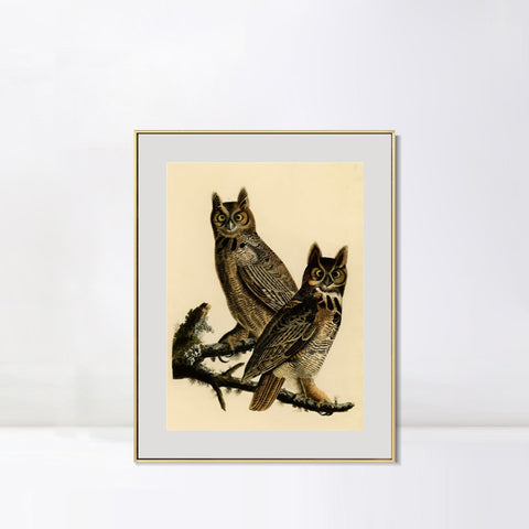 INVIN ART Metal Framed Canvas Giclee Print Great Horned Owl by John James Audubon Wall Art Living Room Home Office Decorations