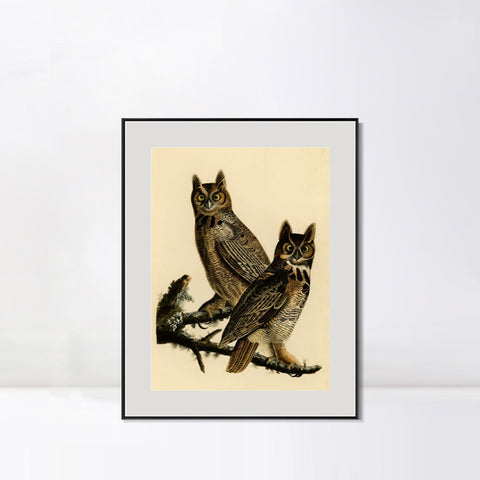 INVIN ART Metal Framed Canvas Giclee Print Great Horned Owl by John James Audubon Wall Art Living Room Home Office Decorations