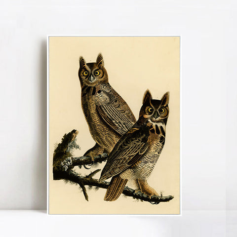 INVIN ART Framed Canvas Giclee Print Great Horned Owl by John James Audubon Wall Art Living Room Home Office Decorations