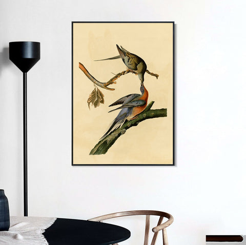 INVIN ART Framed Canvas Giclee Print Passenger Pigeon by John James Audubon Wall Art Living Room Home Office Decorations