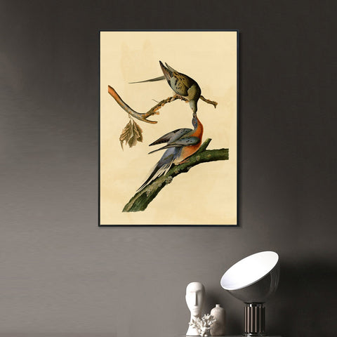 INVIN ART Framed Canvas Giclee Print Passenger Pigeon by John James Audubon Wall Art Living Room Home Office Decorations