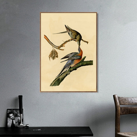 INVIN ART Framed Canvas Giclee Print Passenger Pigeon by John James Audubon Wall Art Living Room Home Office Decorations