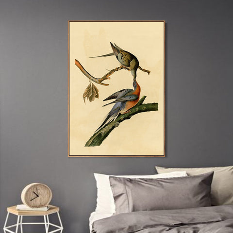 INVIN ART Framed Canvas Giclee Print Passenger Pigeon by John James Audubon Wall Art Living Room Home Office Decorations