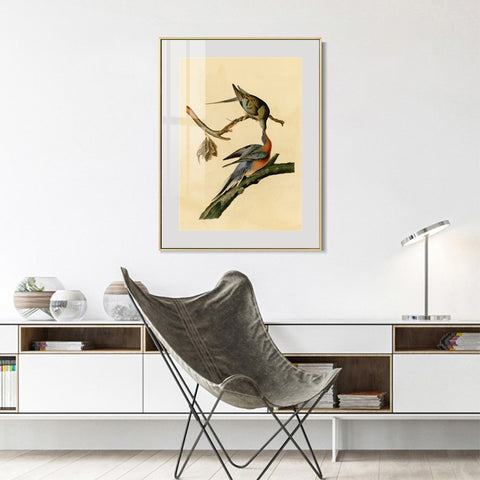 INVIN ART Metal Framed Canvas Giclee Print Passenger Pigeon by John James Audubon Wall Art Living Room Home Office Decorations