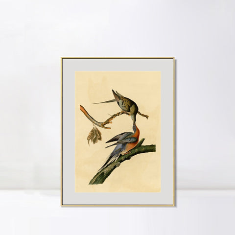 INVIN ART Metal Framed Canvas Giclee Print Passenger Pigeon by John James Audubon Wall Art Living Room Home Office Decorations