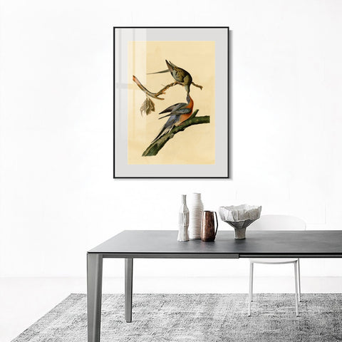 INVIN ART Metal Framed Canvas Giclee Print Passenger Pigeon by John James Audubon Wall Art Living Room Home Office Decorations