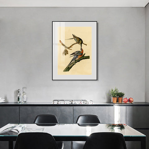 INVIN ART Metal Framed Canvas Giclee Print Passenger Pigeon by John James Audubon Wall Art Living Room Home Office Decorations