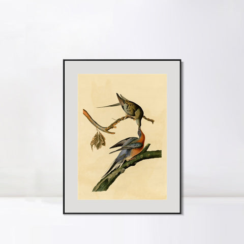 INVIN ART Metal Framed Canvas Giclee Print Passenger Pigeon by John James Audubon Wall Art Living Room Home Office Decorations