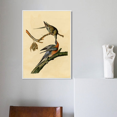 INVIN ART Framed Canvas Giclee Print Passenger Pigeon by John James Audubon Wall Art Living Room Home Office Decorations