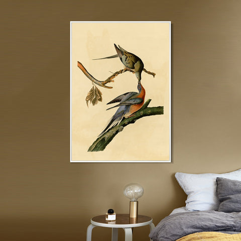 INVIN ART Framed Canvas Giclee Print Passenger Pigeon by John James Audubon Wall Art Living Room Home Office Decorations